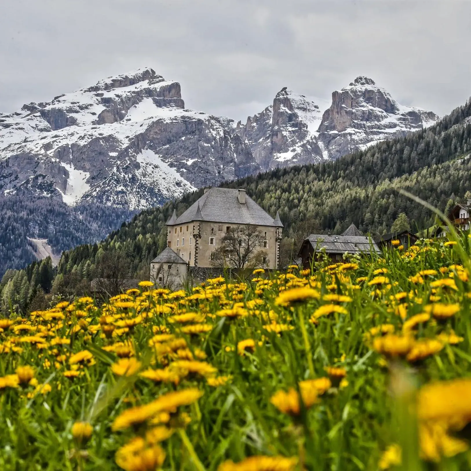Alta Badia Primavera freddy planinschek 4