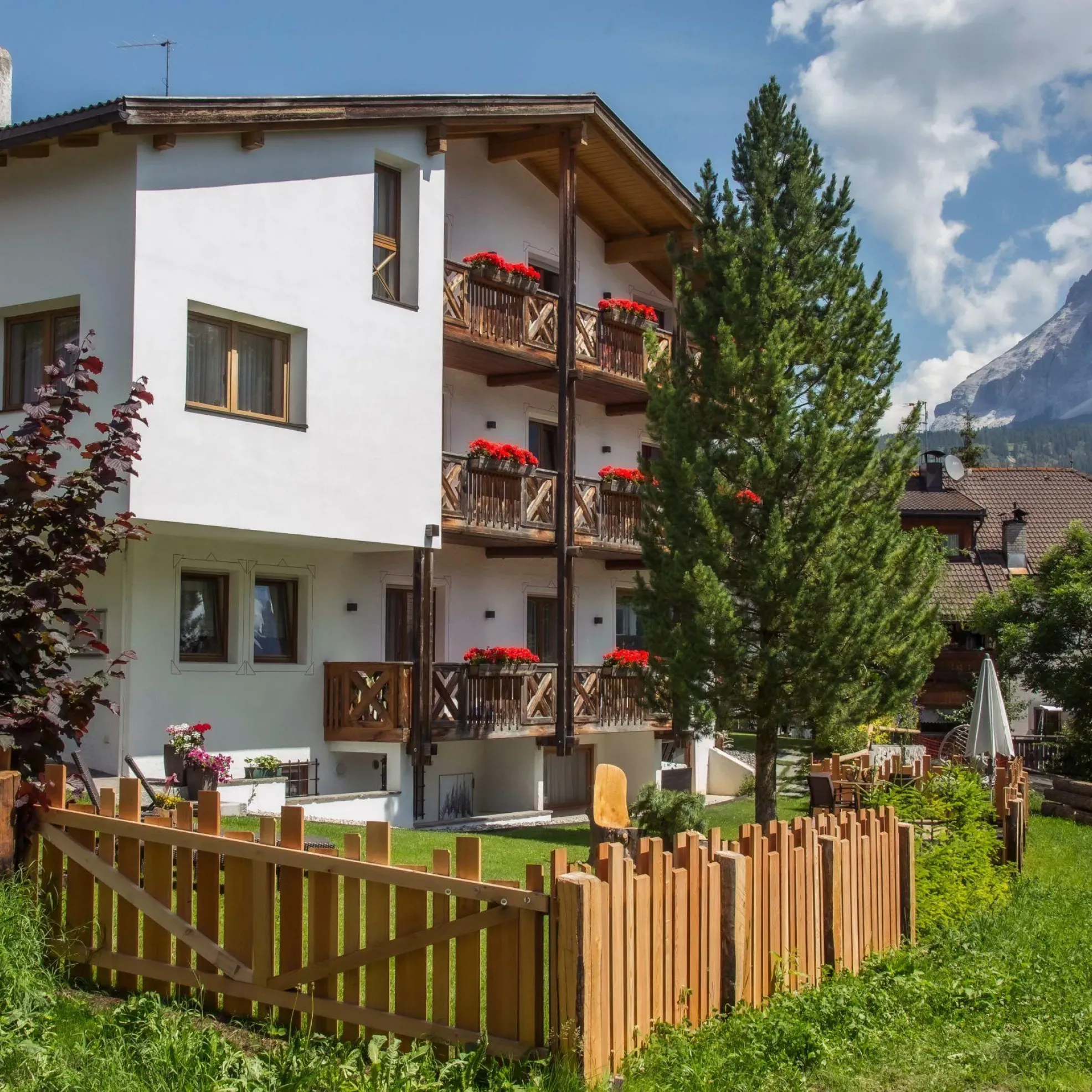 09544 a ok freddy planinschek